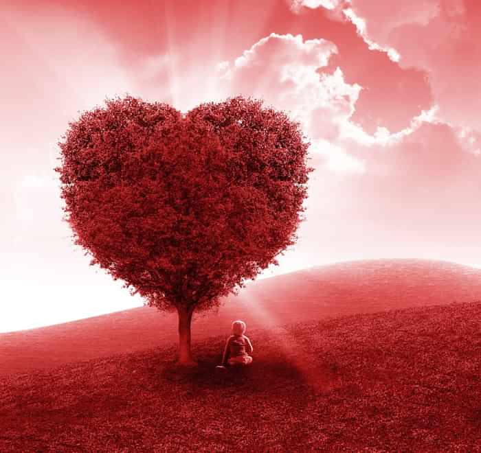 Heart shaped tree representing Radiant Spirit's mission of spreading Love in the World
